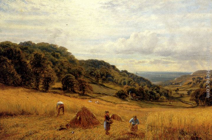 Alfred Glendening Harvesting At Luccombe, Isle Of Wight